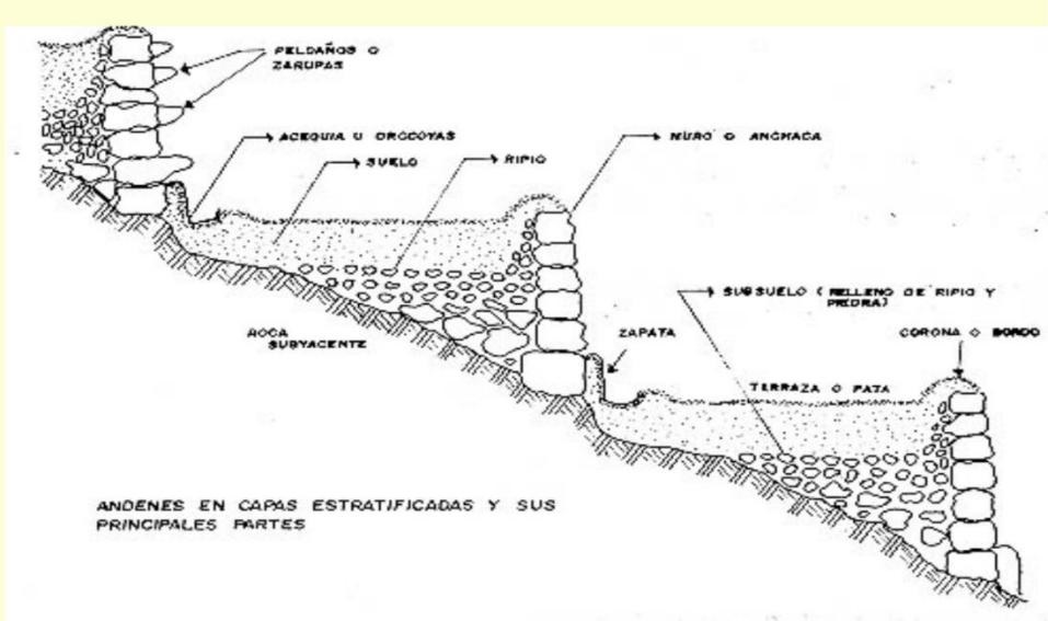 partes del anden