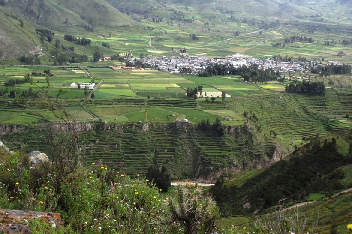 El uso de tierras comestibles por los pueblos costeros del Periodo de  Integración en los Andes septentrionales